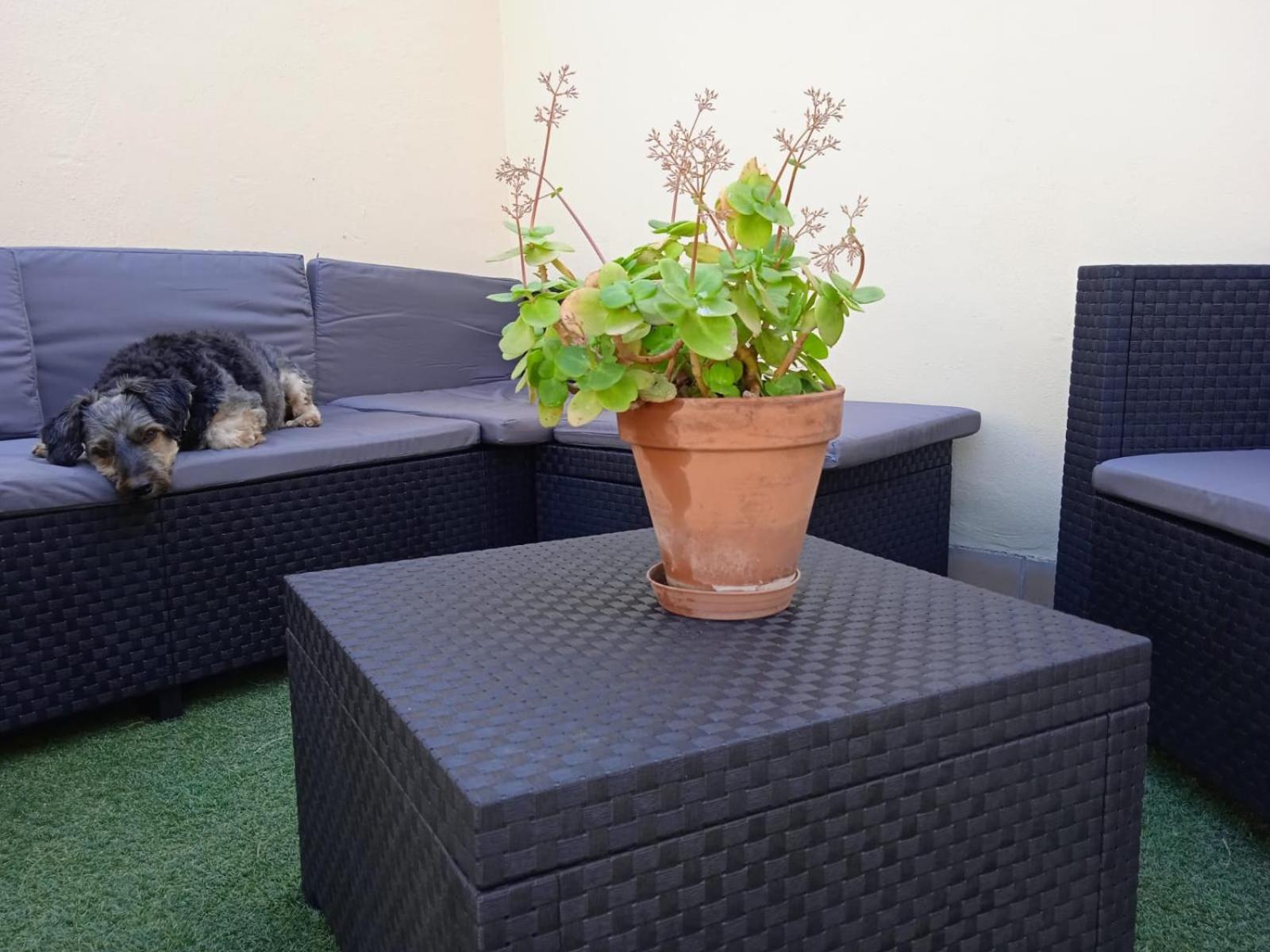 Livingtarifa Apartamento Nano Luaran gambar