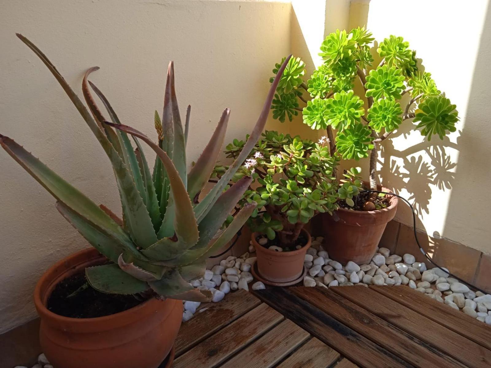 Livingtarifa Apartamento Nano Luaran gambar